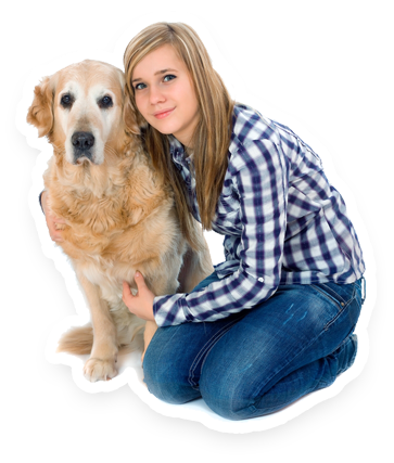 dog grooming laval